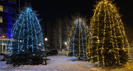 Оформление деревьев гирляндами - Промальп 66 Промышленные альпинисты Екатеринбург